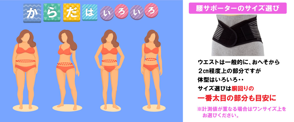 胴回り計測目安